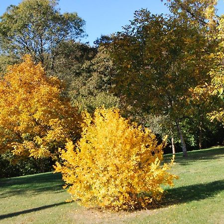 Domaine La Bastide Bed & Breakfast Cleyrac Bagian luar foto