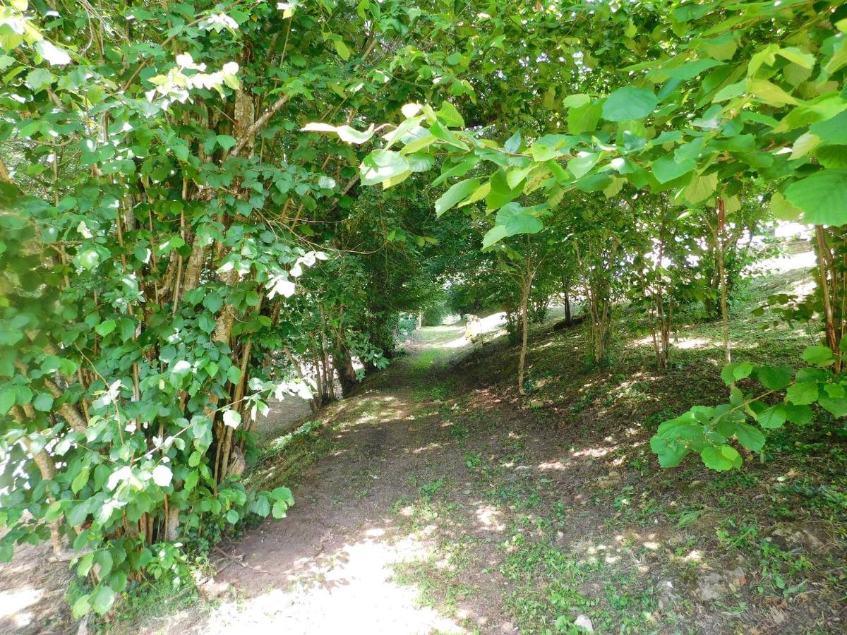Domaine La Bastide Bed & Breakfast Cleyrac Bagian luar foto