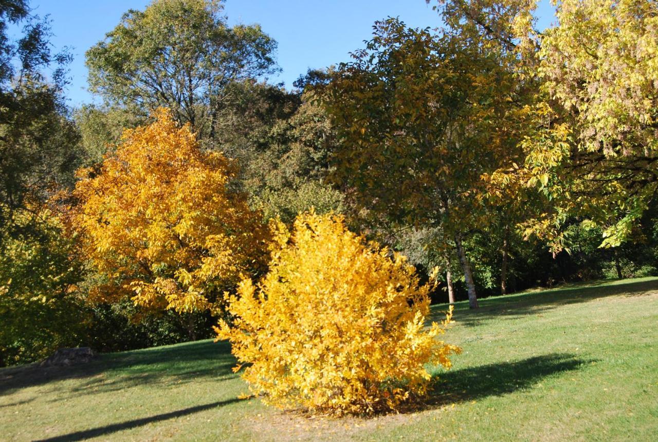 Domaine La Bastide Bed & Breakfast Cleyrac Bagian luar foto